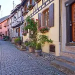 Bredala**** Maison Alsacienne Avec Jardin Apartmán Eguisheim