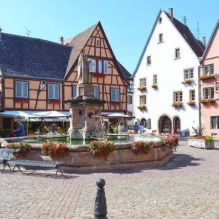 Appartement Bredala**** Maison Alsacienne Avec Jardin