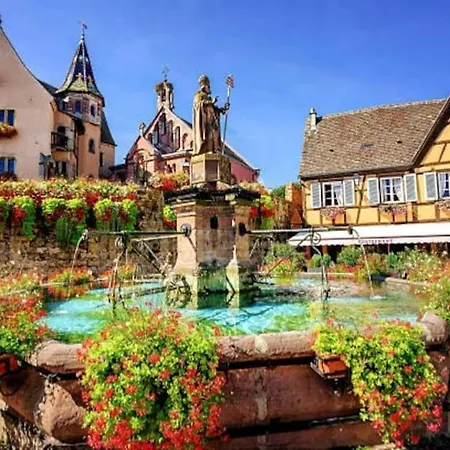 Appartement Bredala**** Maison Alsacienne Avec Jardin Eguisheim