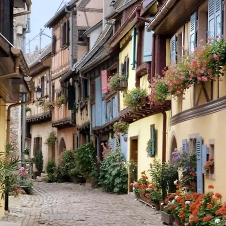 Bredala**** Maison Alsacienne Avec Jardin