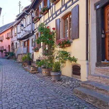 Bredala**** Maison Alsacienne Avec Jardin Appartement Eguisheim