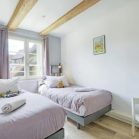 Bredala**** Maison Alsacienne Avec Jardin Eguisheim